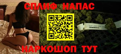 шишки Можга