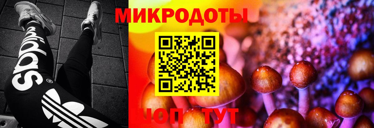Галлюциногенные грибы Magic Shrooms Холмск